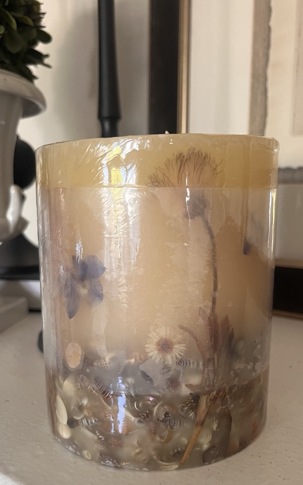 ROSY RINGS BEACH DAISY Botanical Candle 120h Discontinued Scent