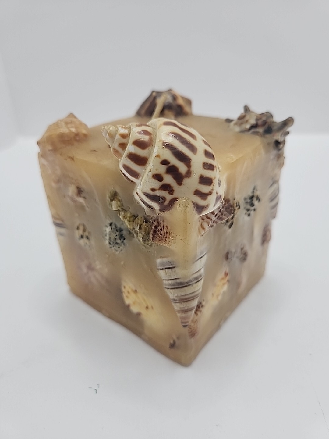 Vintage Hangmade Scented Gruvs Candles Made In USA Sea Shells 3 1/2″ Square
