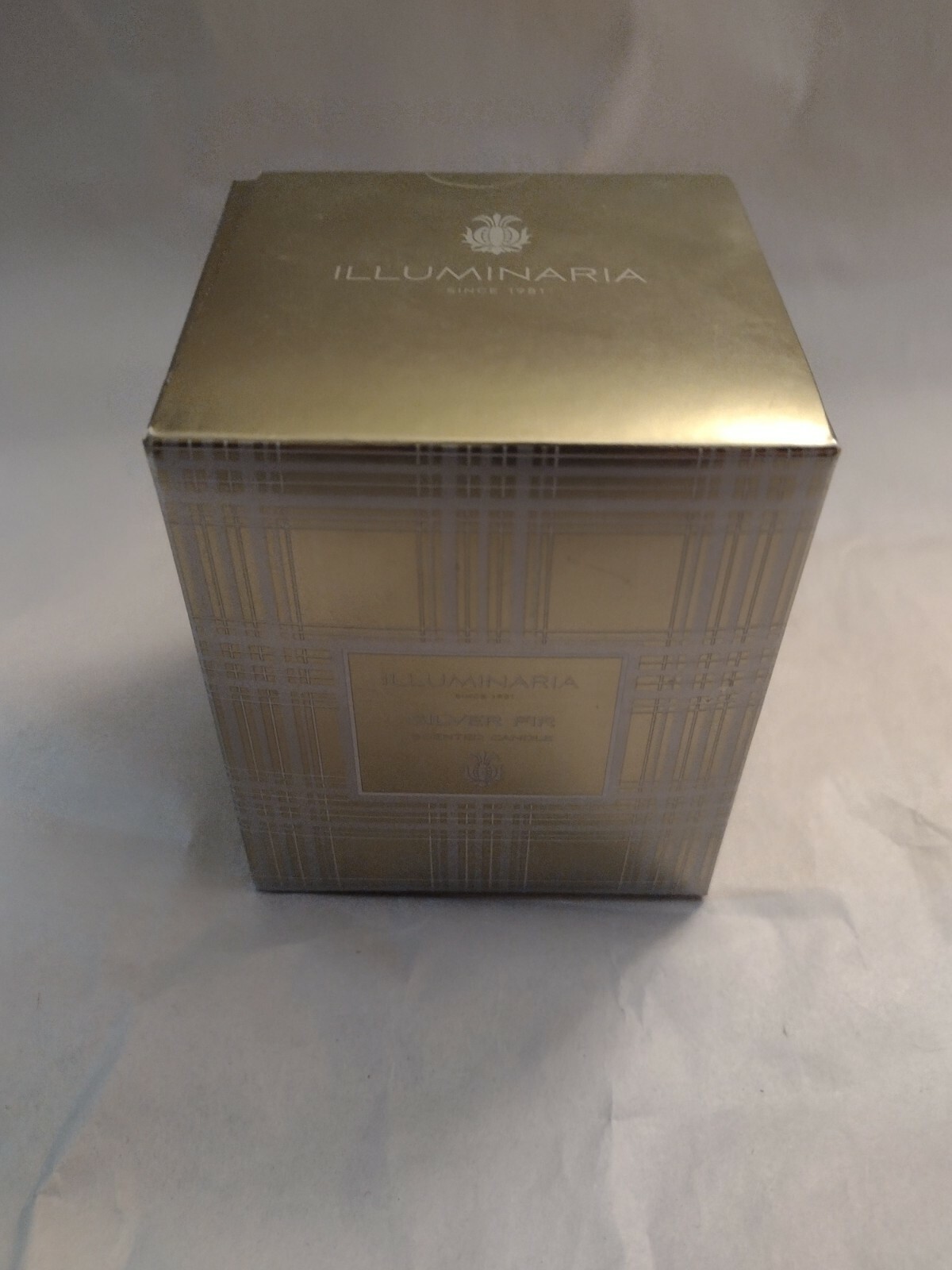 Zodax Illuminaria Silver Fir Scented Candle 7.76 oz 220g 3.75″ tall 2.75″ radius