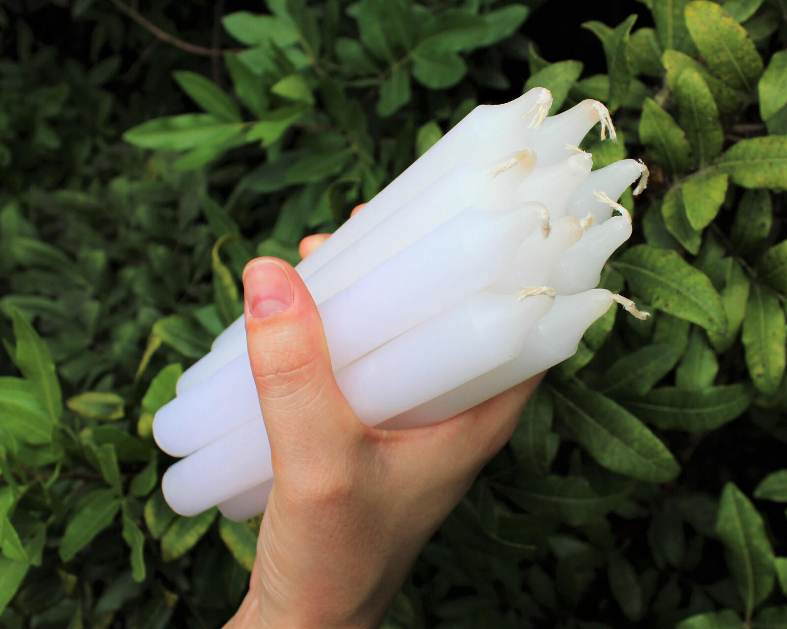 Lot of 36 x 6″ Taper Candles: WHITE (Spell Candles Altar Household)
