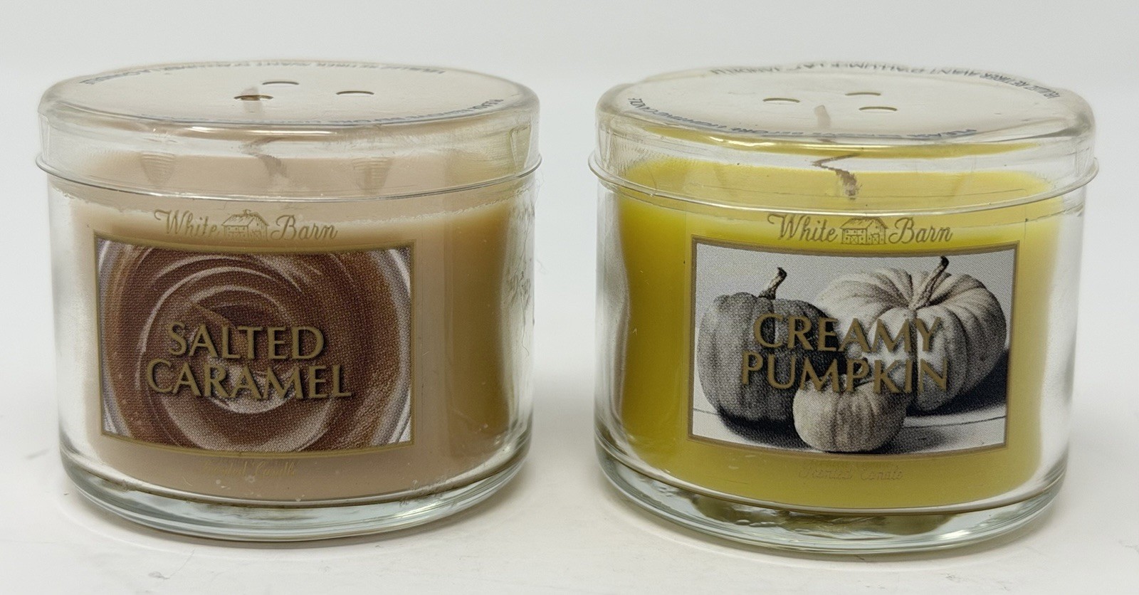 Bath & Body Works Fall Mini Candle Lot- Cranberry Woods, Spiced Cider, Autumn