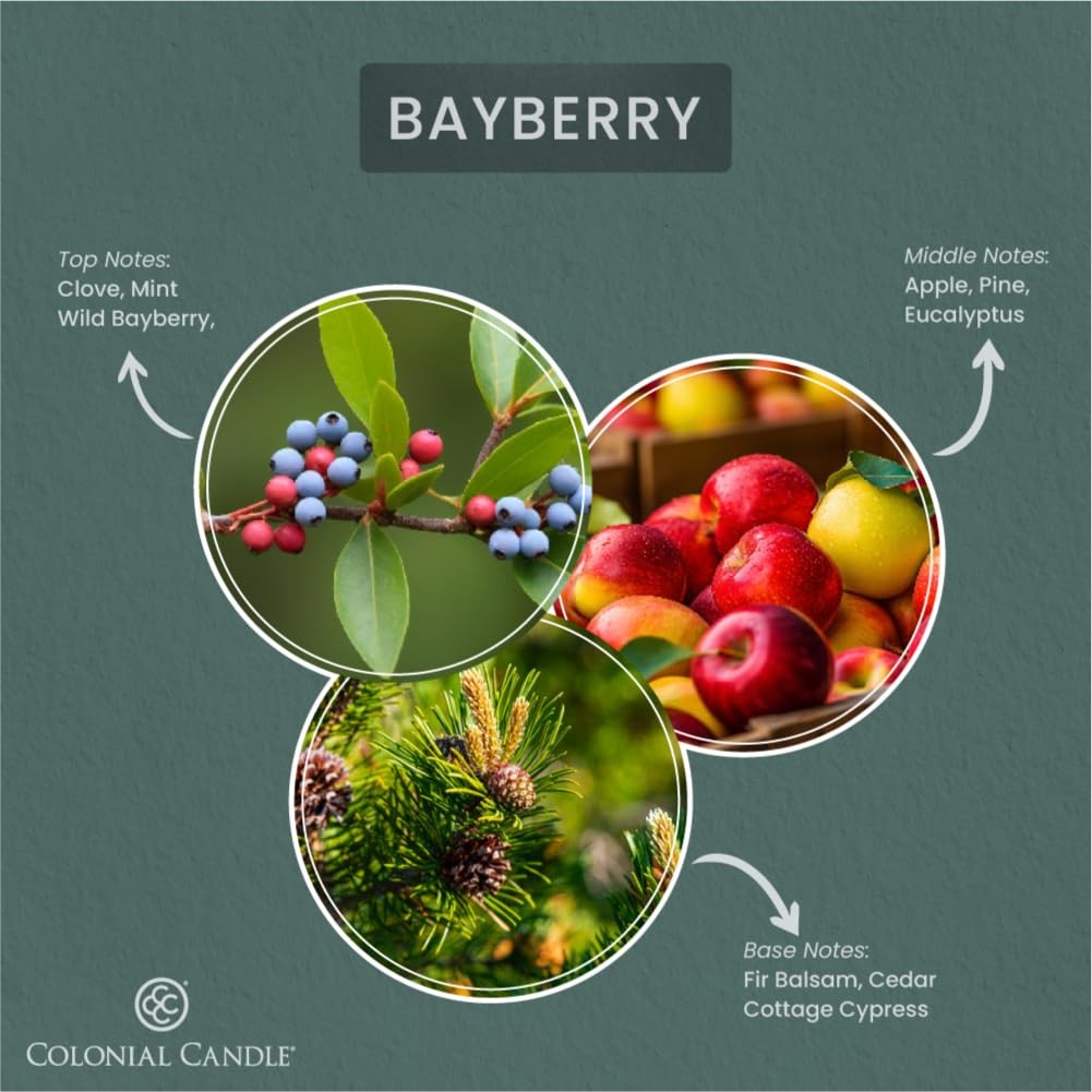 Bayberry Scented Jar Candle, 2 Wick, 3.5 oz, Mottled Wax Candle