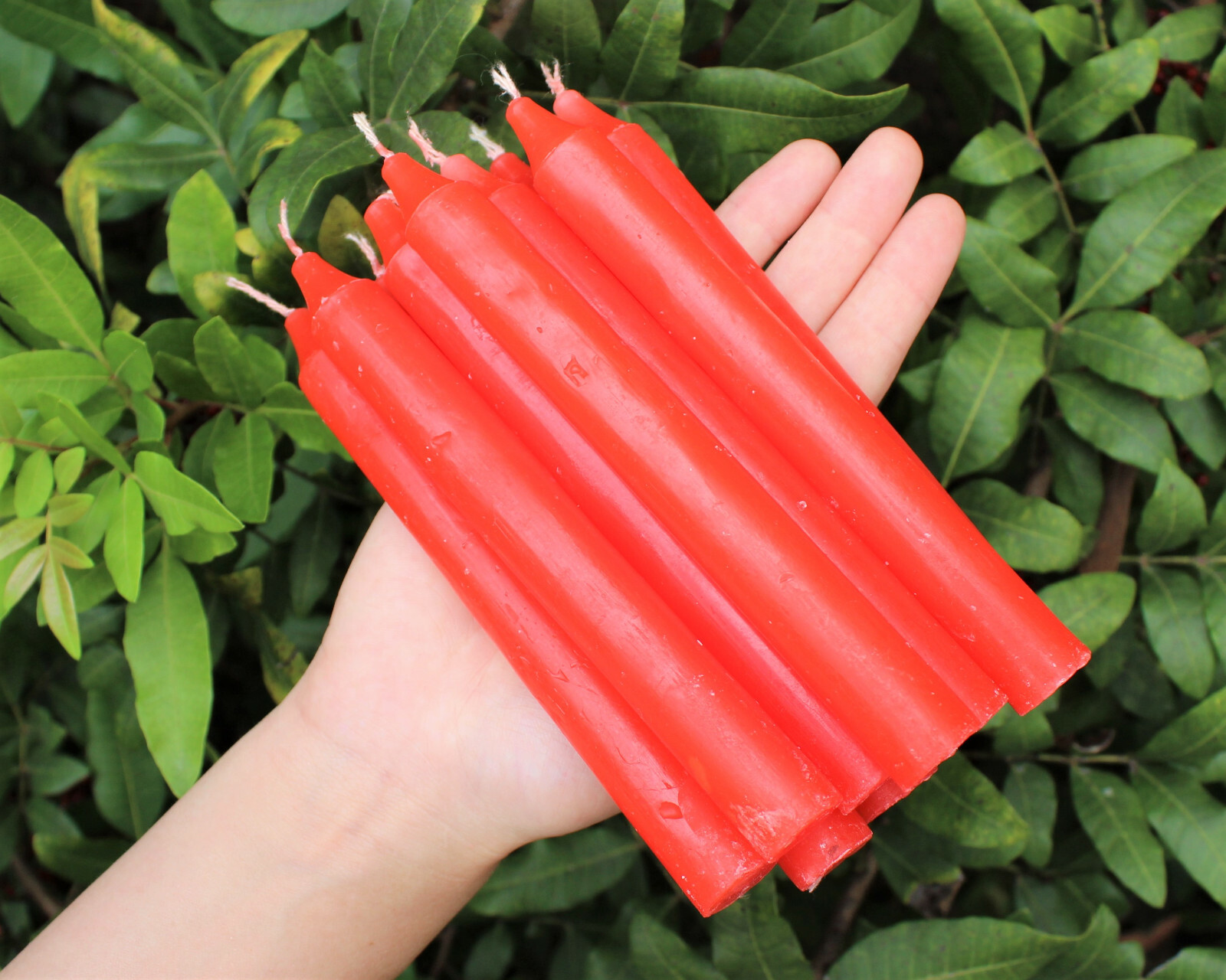 Lot of 10 x 6″ Taper Spell Candles: RED (Pagan Wicca Altar Household)