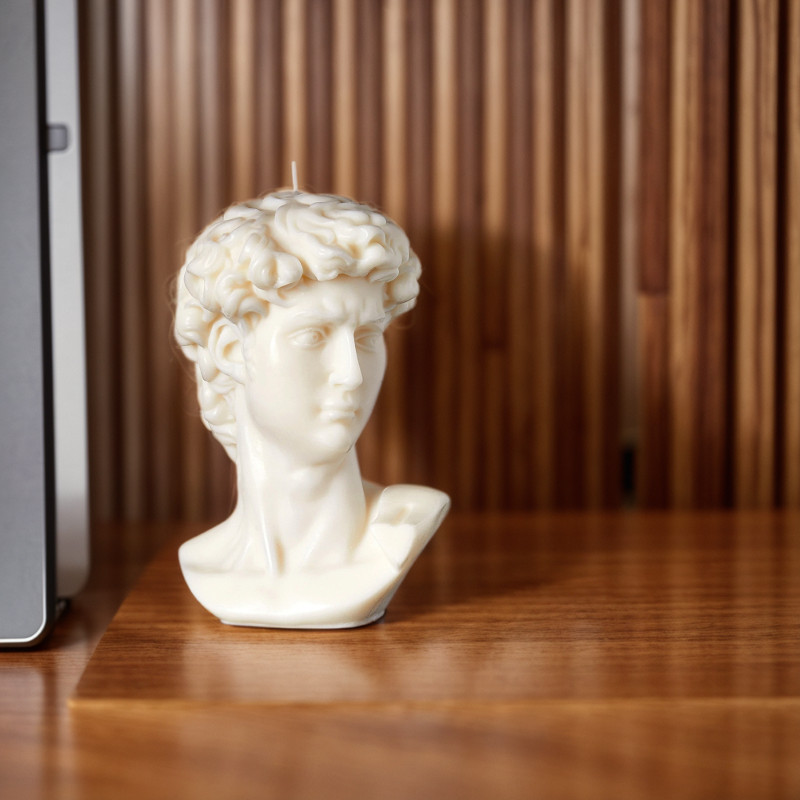 Ventray Scented Candle Davidgypsum Portrait For Home Bedroom Living Room Decor