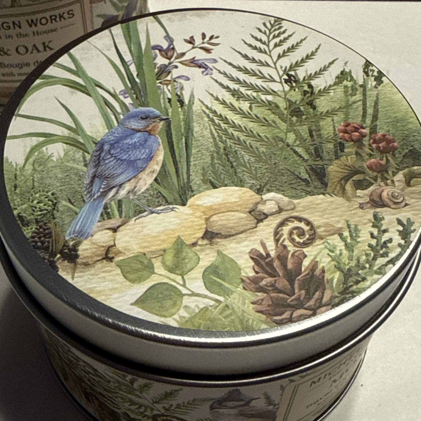 Two MICHEL DESIGN WORKS ~ MOSS & OAK ~ Candle 5.5 oz X 2 Oak Moss Vetiver