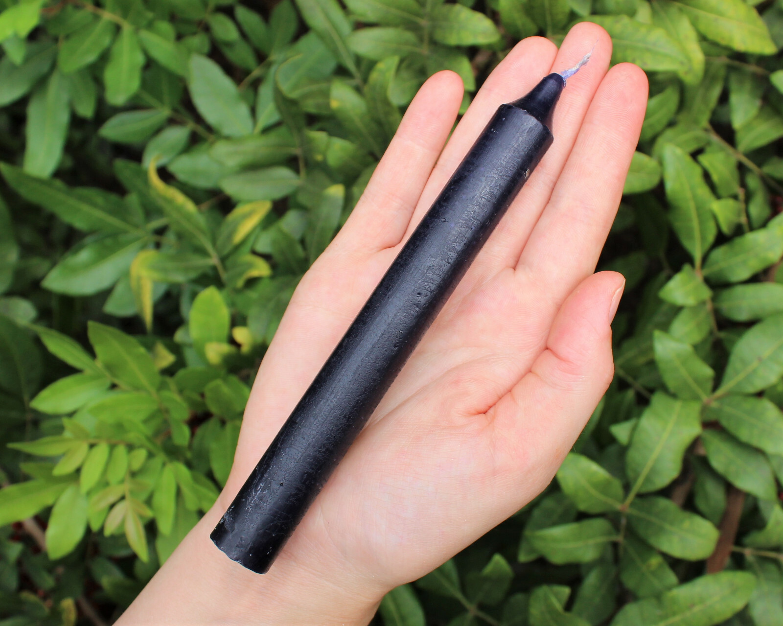Lot of 12 x 6″ Taper Candles: BLACK (Spell Candles Altar Household)