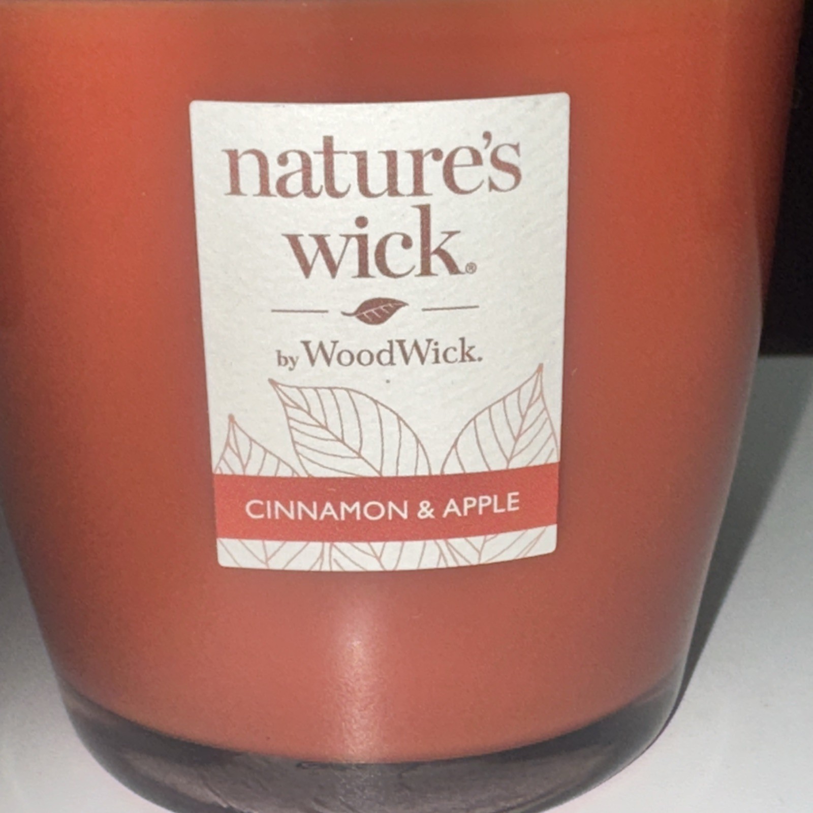 2 PACK–Nature’s Wick by WoodWick CINNAMON & APPLE Scented Candles 10oz Crackles