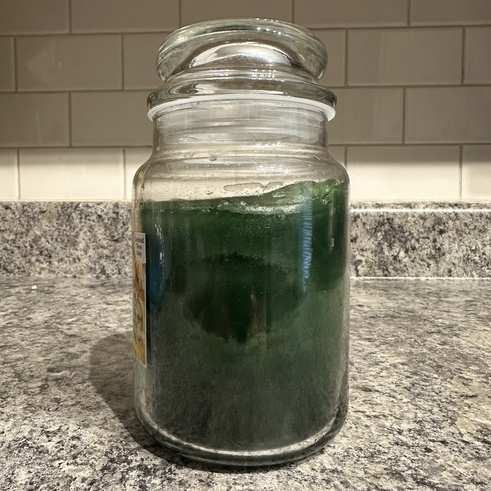 Yankee Candle Greenhouse Large Jar Candle Housewarmer 22oz Retired Used