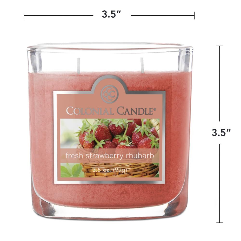 Fresh Strawberry Rhubarb Scented Jar Candle 2 Wick 3.5 oz Mottled Wax