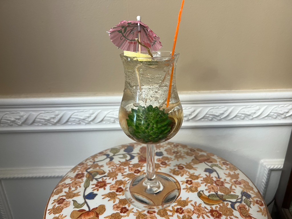 Clear Gel Seascape Candle in a 7 1/2″ Curved Glass