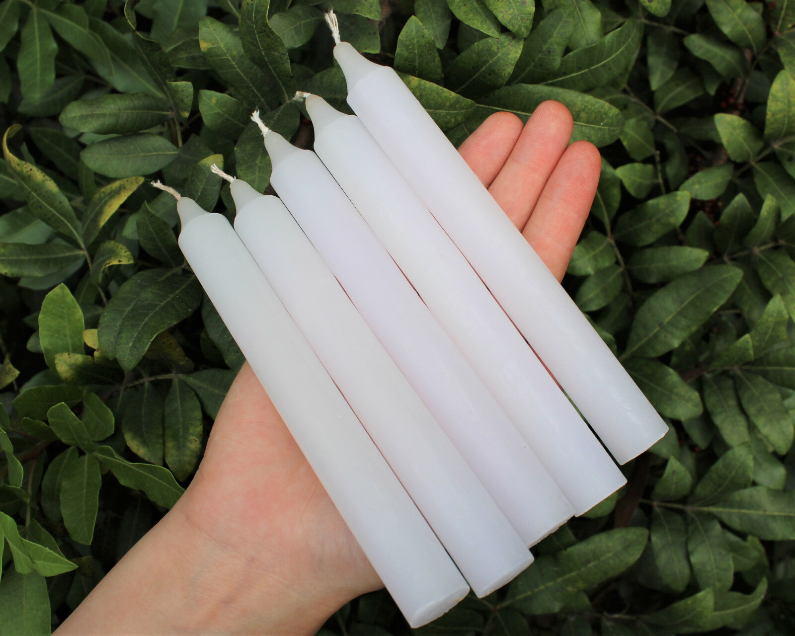 Lot of 5 x 6″ Taper Candles: WHITE (Spell Candles Altar Ritual Household)