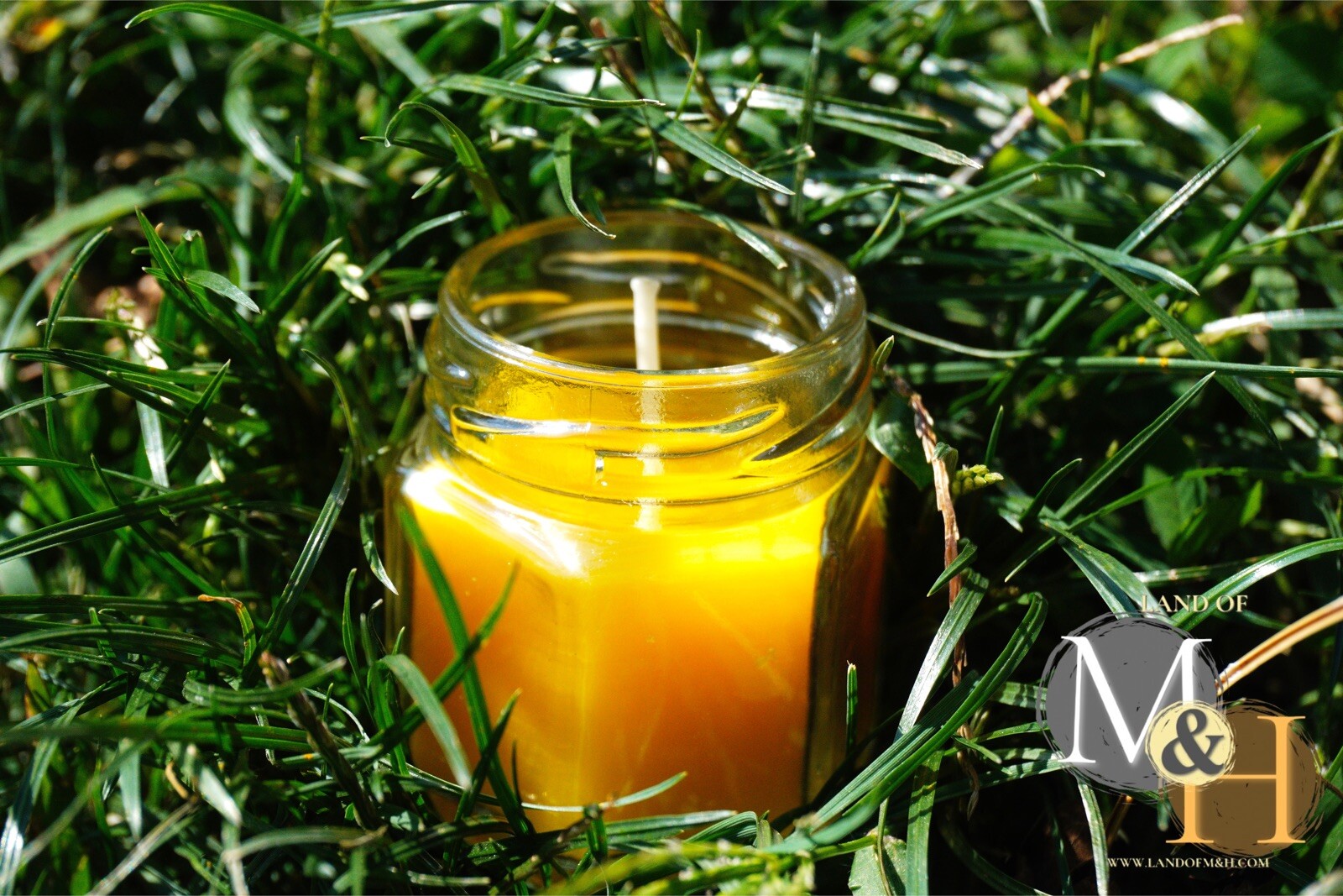 🐝 100% Beeswax (24 Pack) Candles 🕯️🕯️🕯️/ USA Honey Scent Long Burning 🐝