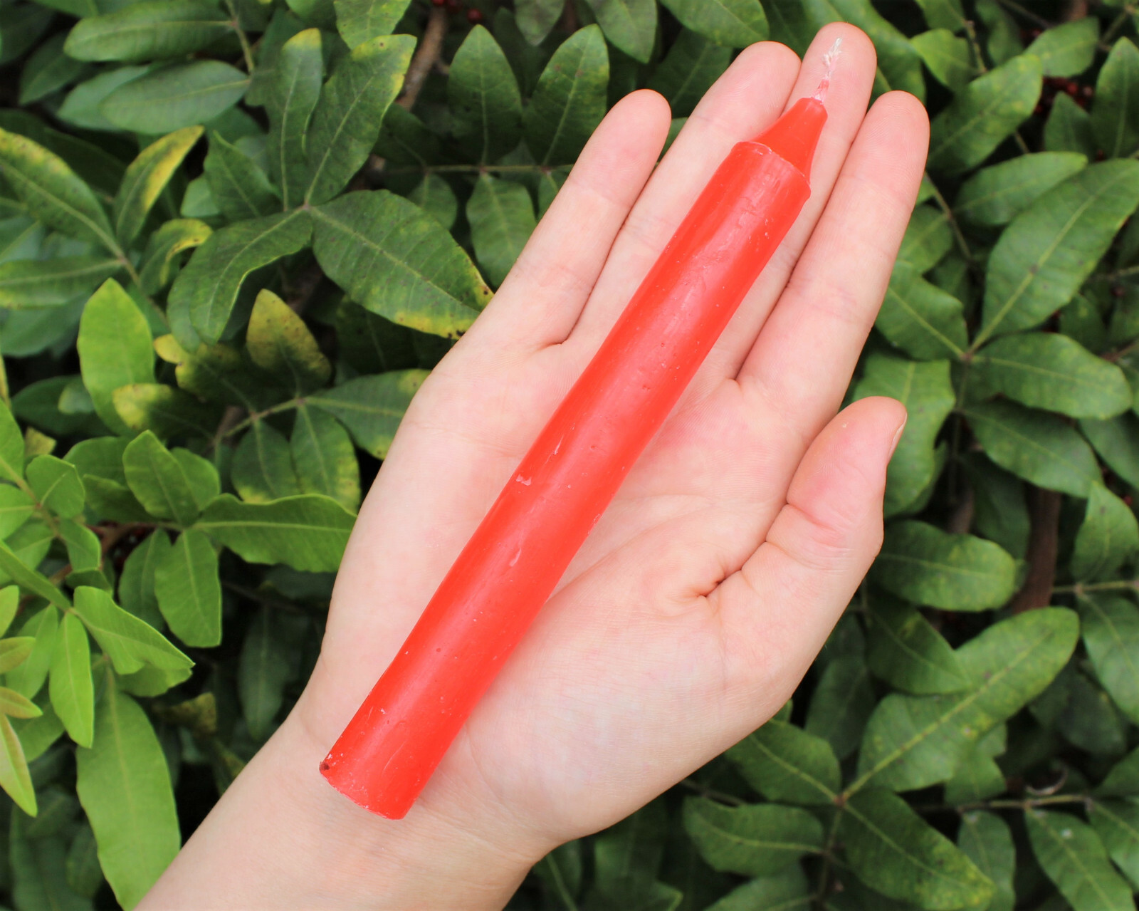 Lot of 10 x 6″ Taper Spell Candles: RED (Pagan Wicca Altar Household)