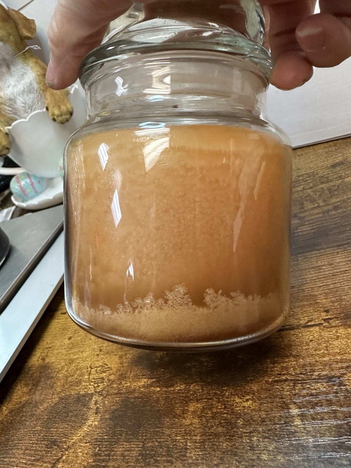 Yankee Medium Jar Candle 14.5oz Almond cookie (bx2)