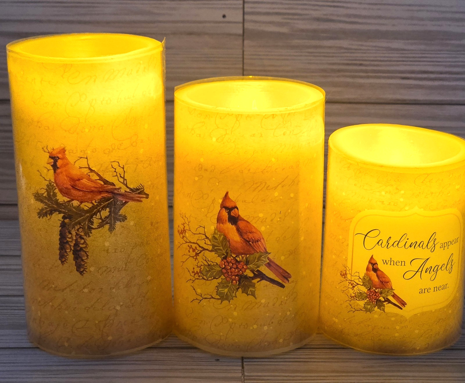 Set of 3 Candles LED Flameless Wax Pillars Cardinal Birds AAA Battery Operated