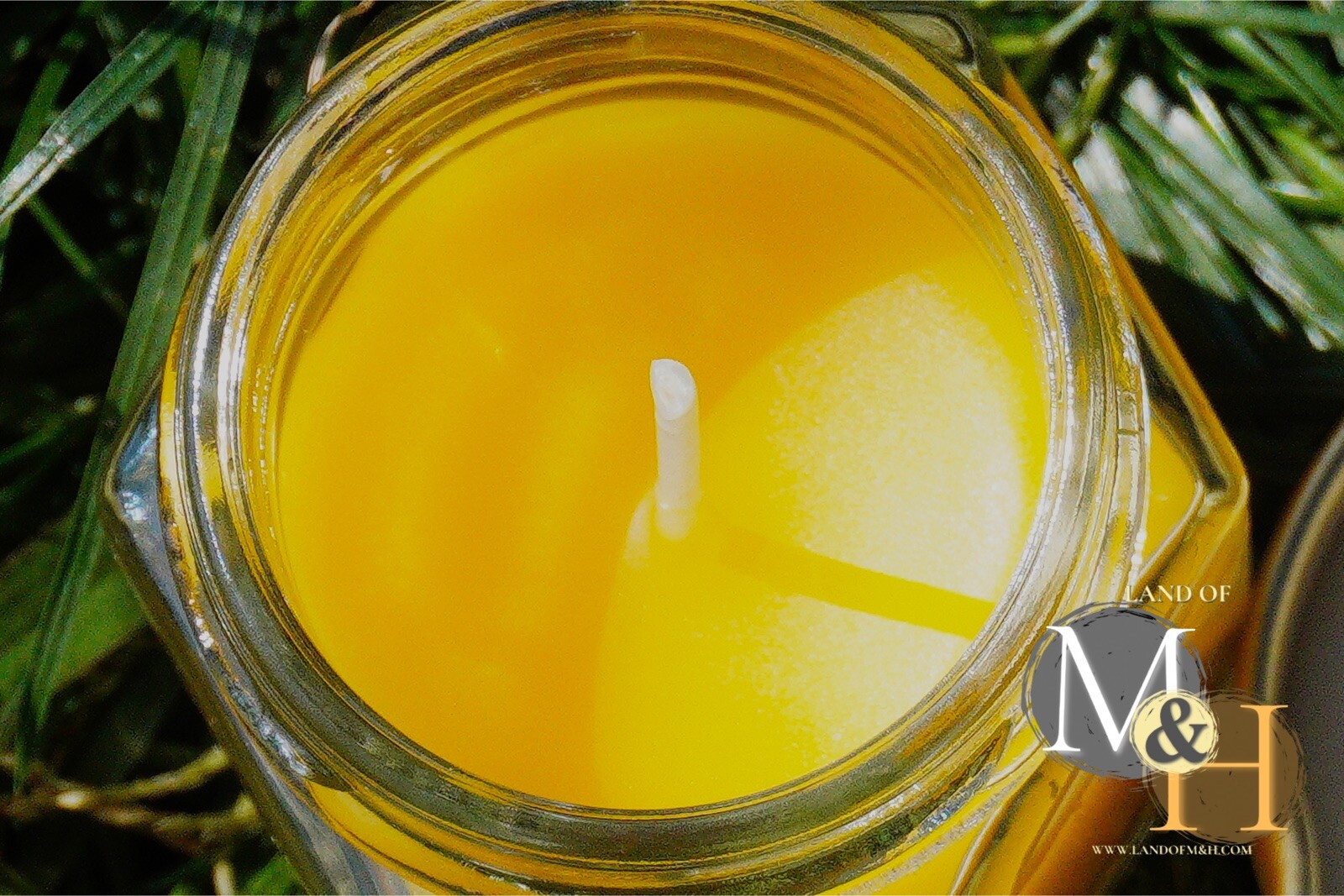 🐝 100% Beeswax (24 Pack) Candles 🕯️🕯️🕯️/ USA Honey Scent Long Burning 🐝