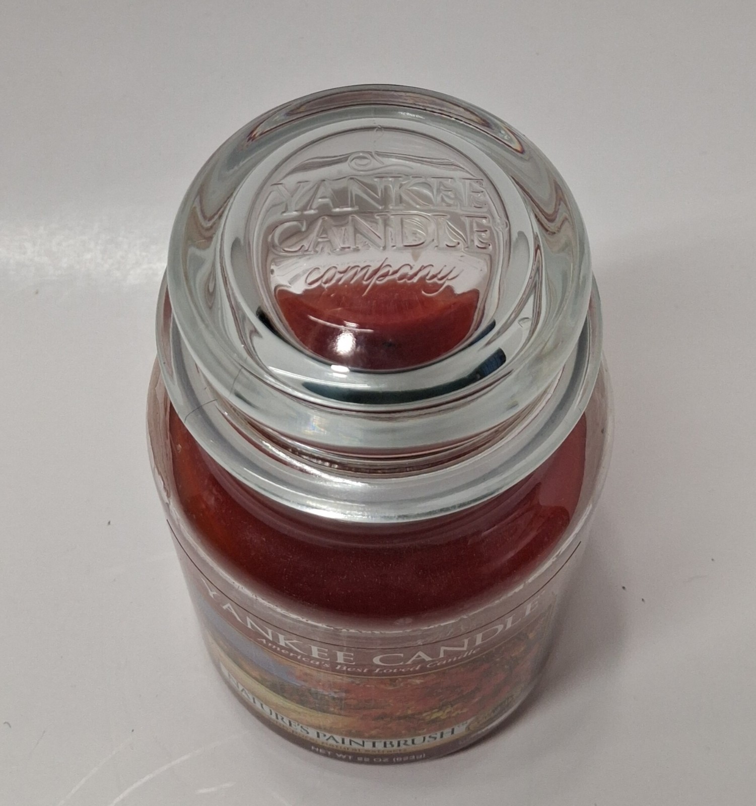 Yankee Candle “NATURE’S PAINTBRUSH” Large Jar 22 oz Rare Retired Scent Used
