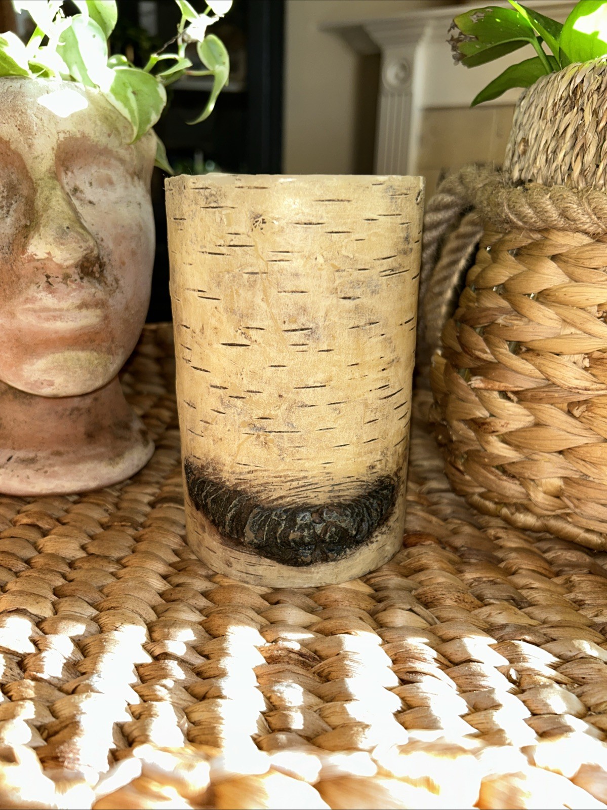 New (2) Pottery Barn Birch Candle 4×6” Burntime 45 Hours Holiday