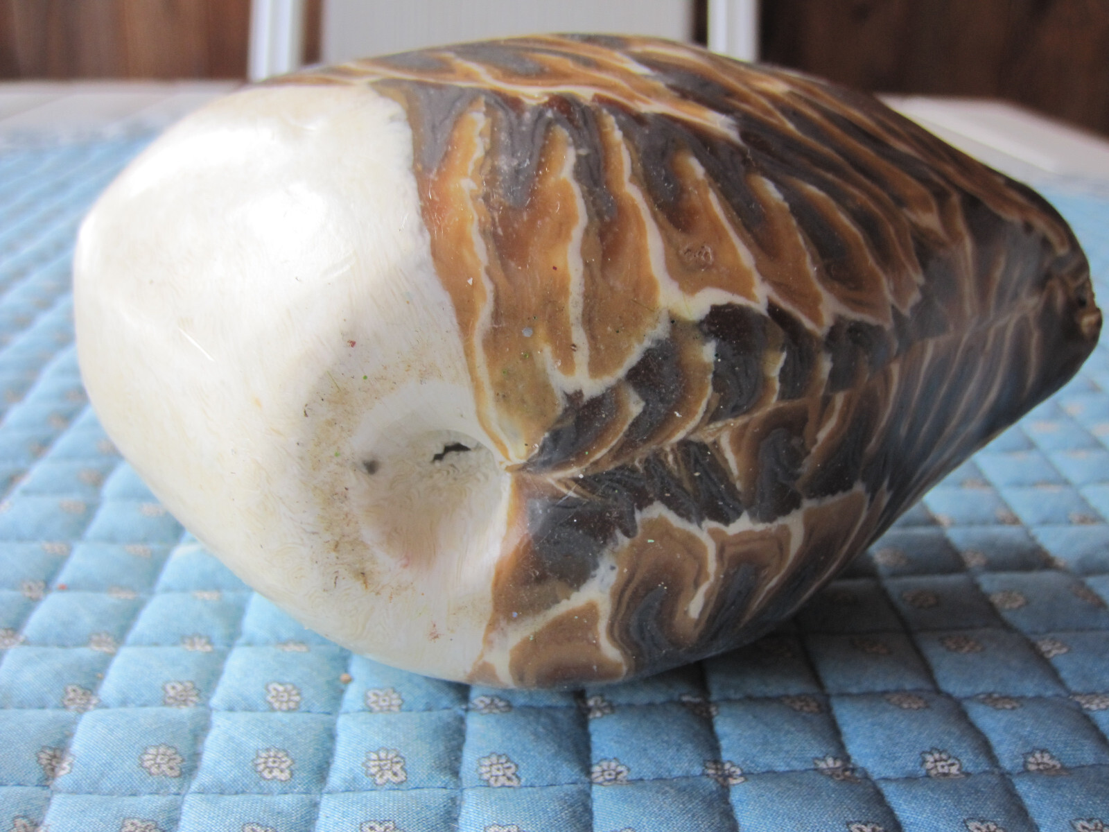 Wax carved candle Canada Goose figure, fall decor