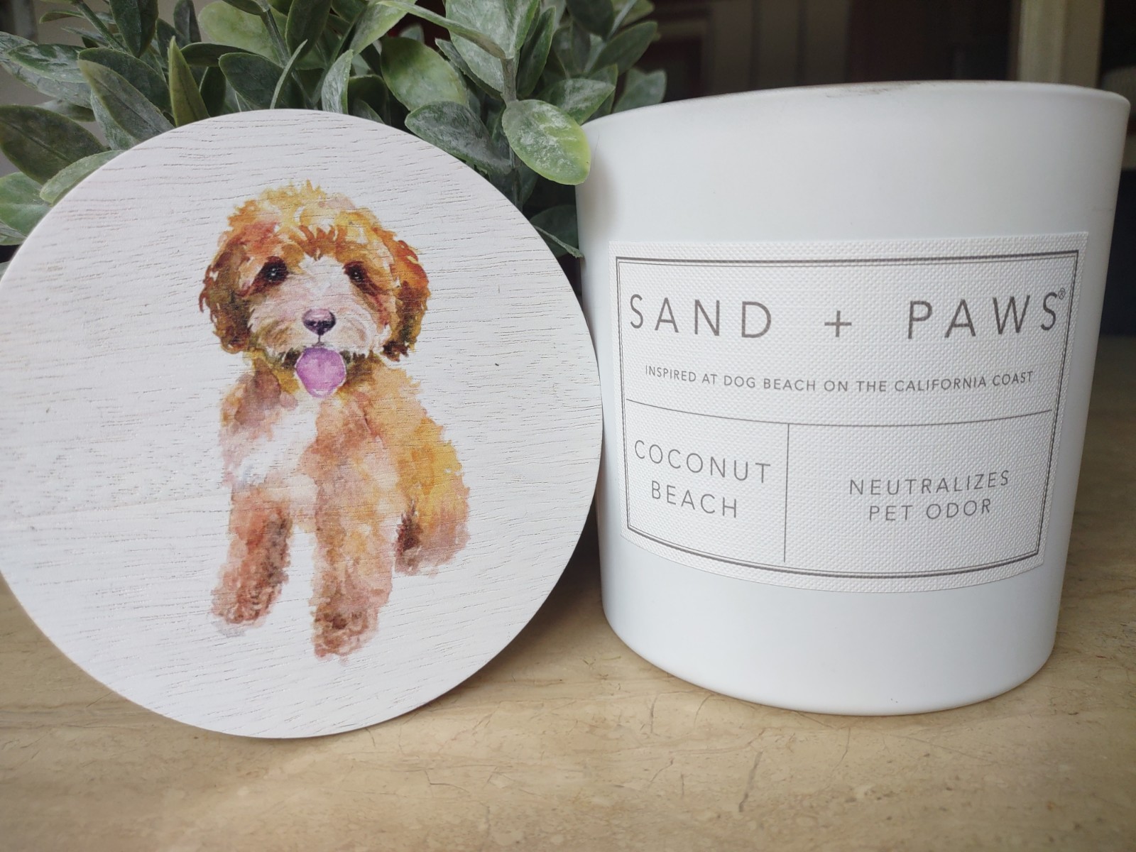 Sand and Paw Coconut Beach Soy Wax Candle, 3 Wick, Large Size 595.35g/21oz