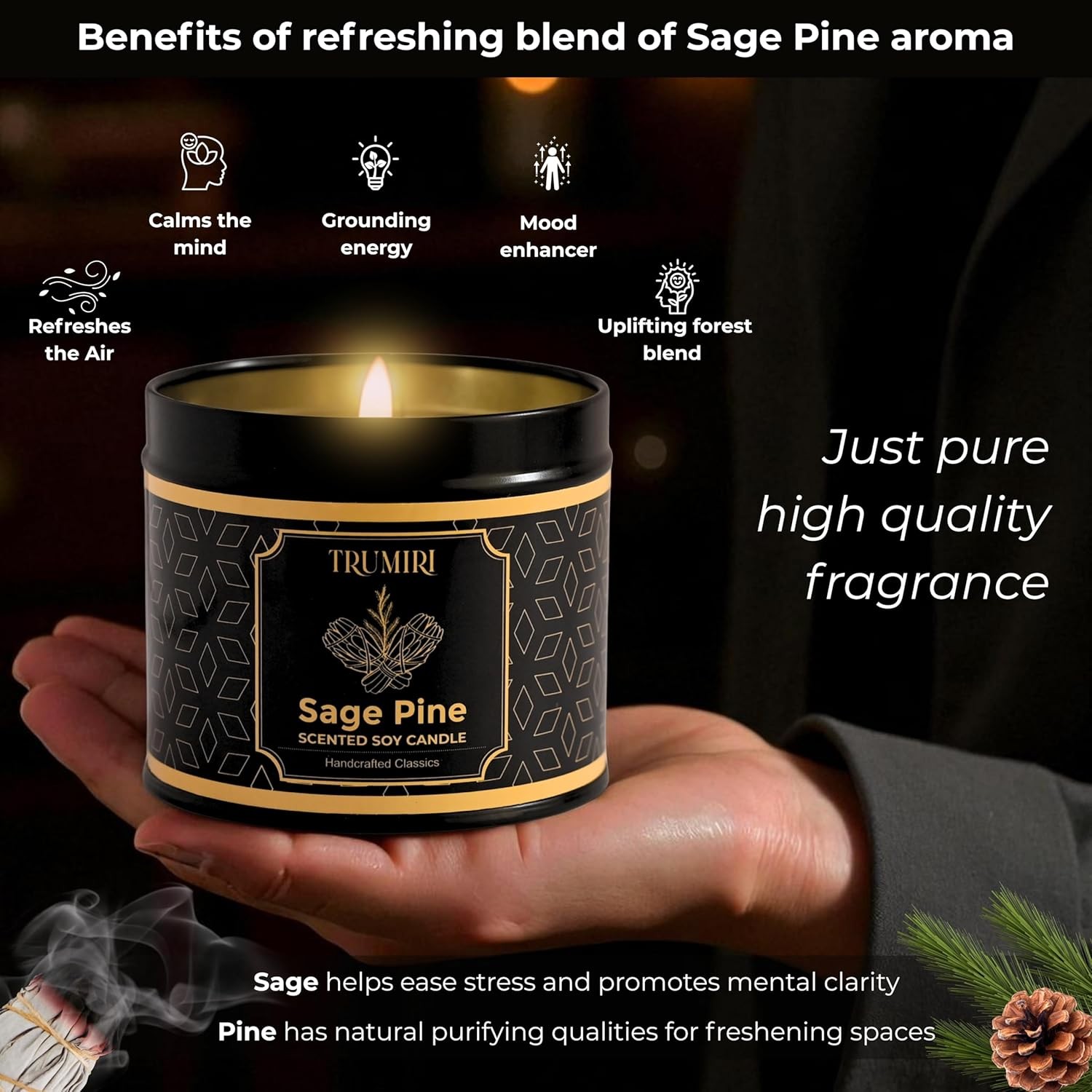 Huge Sale Pine Sage Scented Candle Soy Wax, Perfect Gift for Fall & Holidays