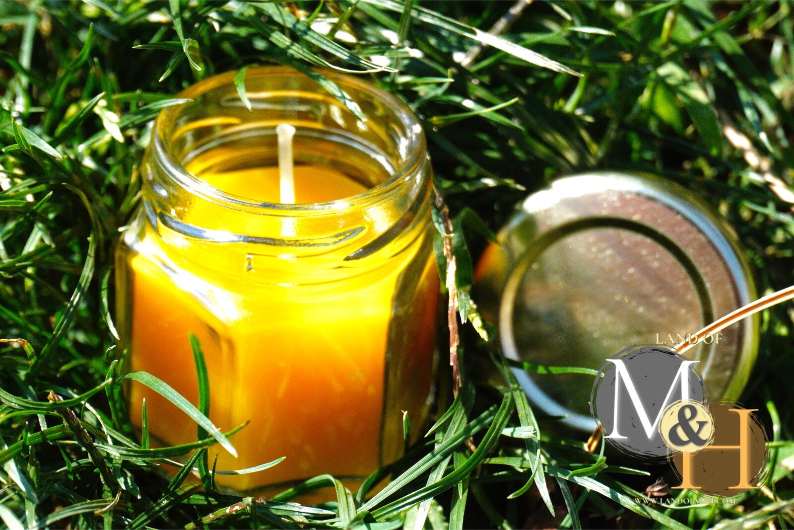 🐝 100% Beeswax (24 Pack) Candles 🕯️🕯️🕯️/ USA Honey Scent Long Burning 🐝
