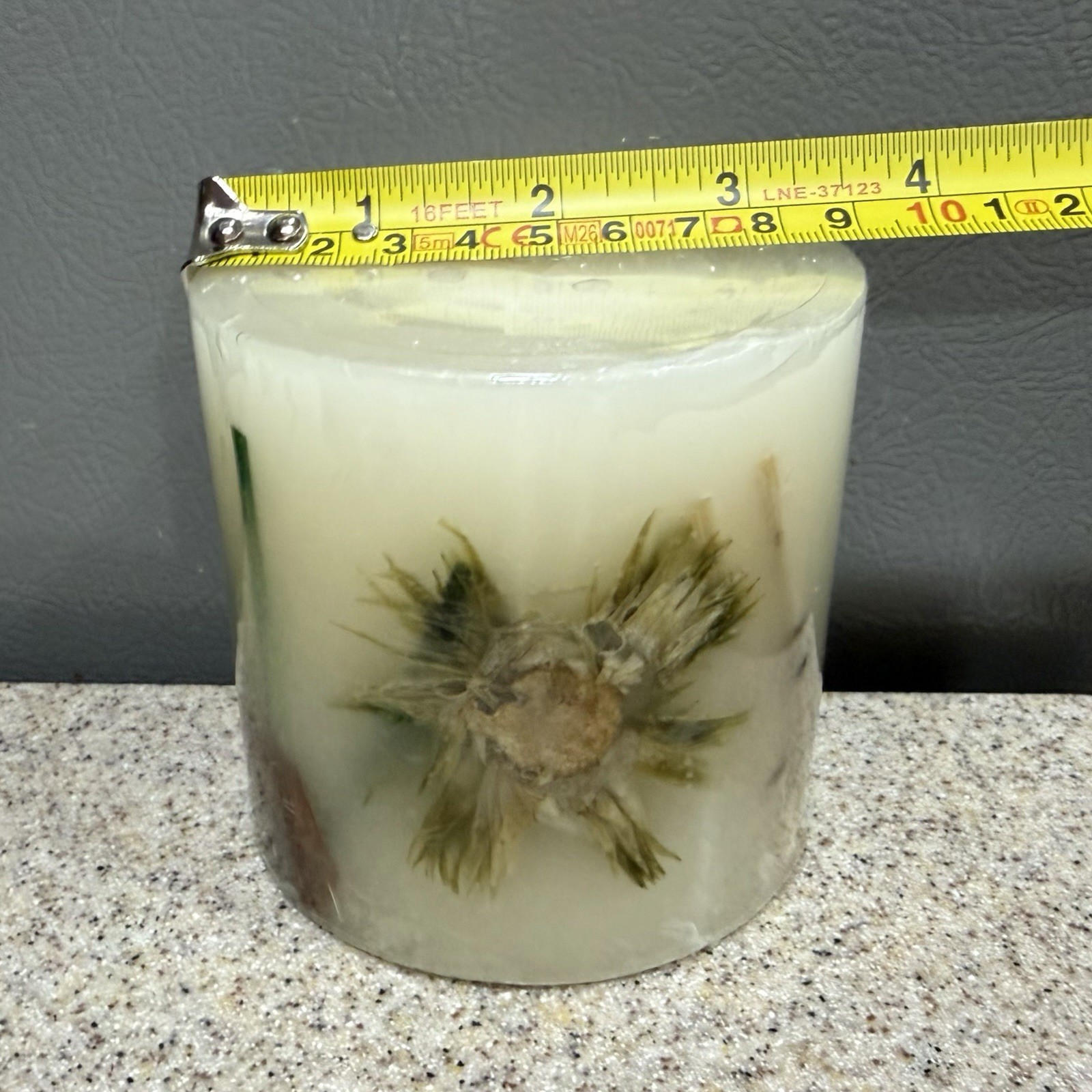 Vtg Botanical Pillar Candle 3.5” Pressed Flowers Leaves “Jade” New!