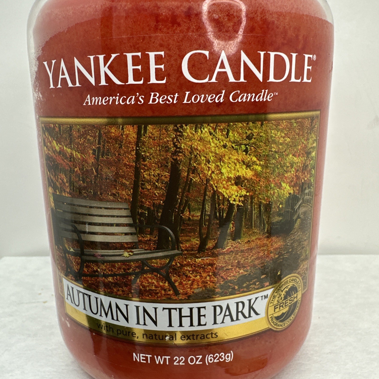 Yankee Candle Retired AUTUMN IN THE PARK 22oz Jar Discontinued Fall Apple New