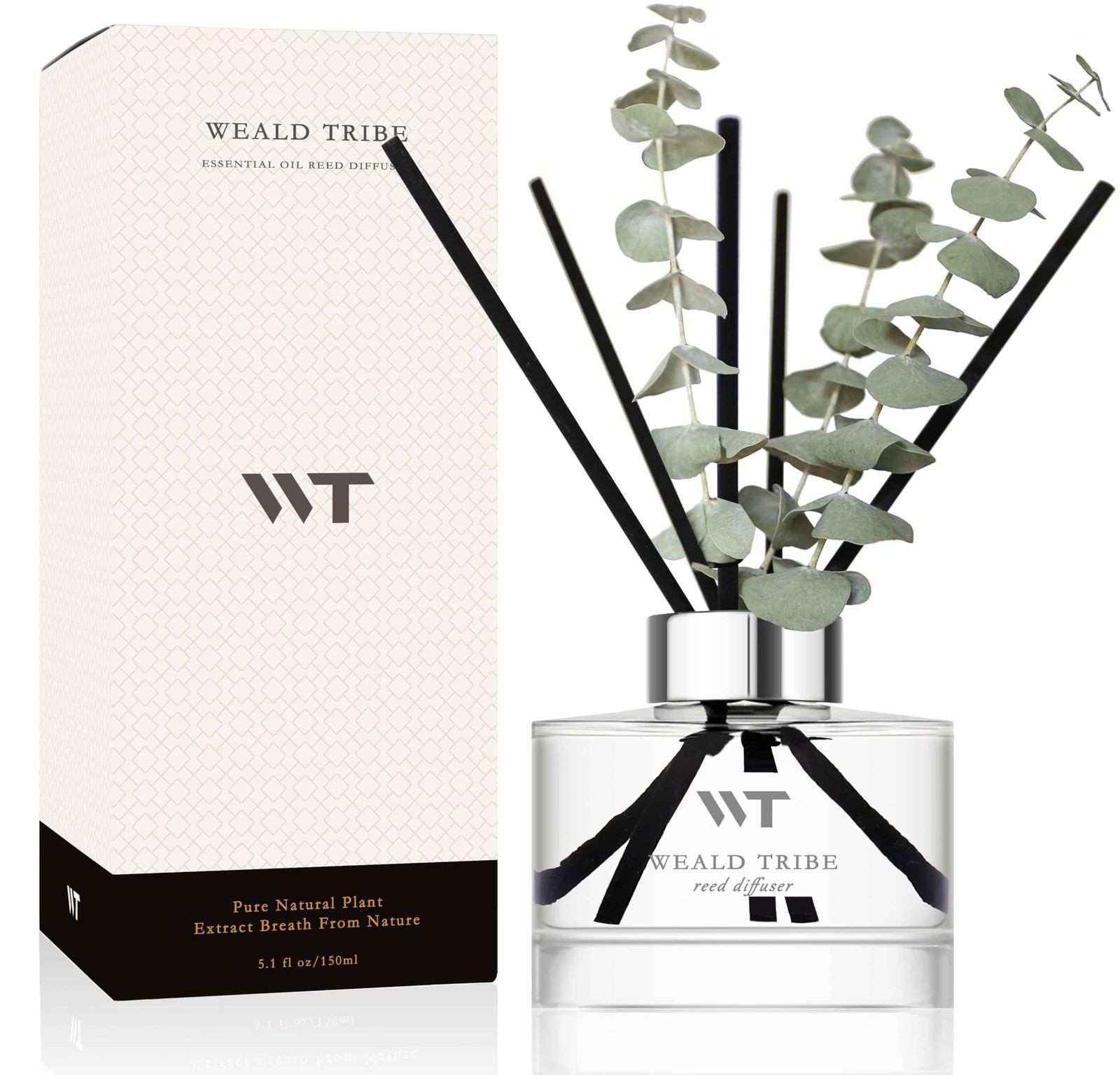 Flower Reed Diffuser Set Wild Eucalyptus Mint Scent for Bathroom Transparent