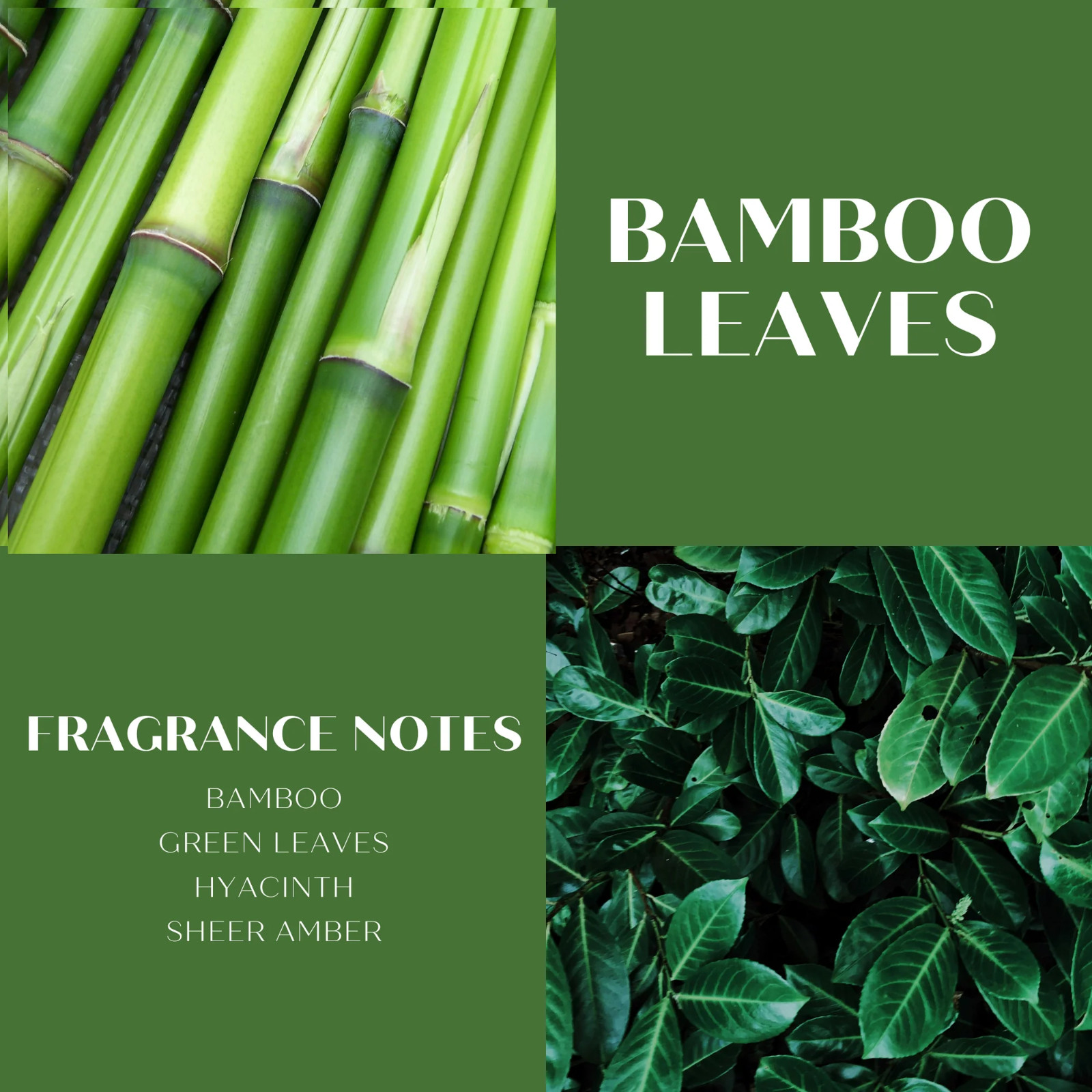 Natural Bamboo Leaves Scented 3-Wick Candle in Glass Jar 14.5 Oz Home Fragrance