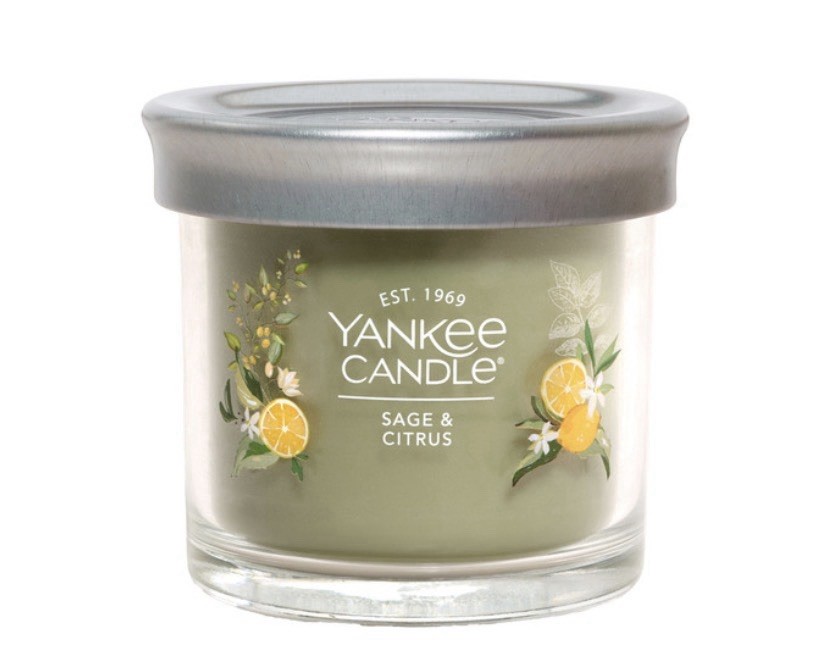 Yankee Candle Set-6 Premium Jar Candles-Limited Edition Scents 1960758