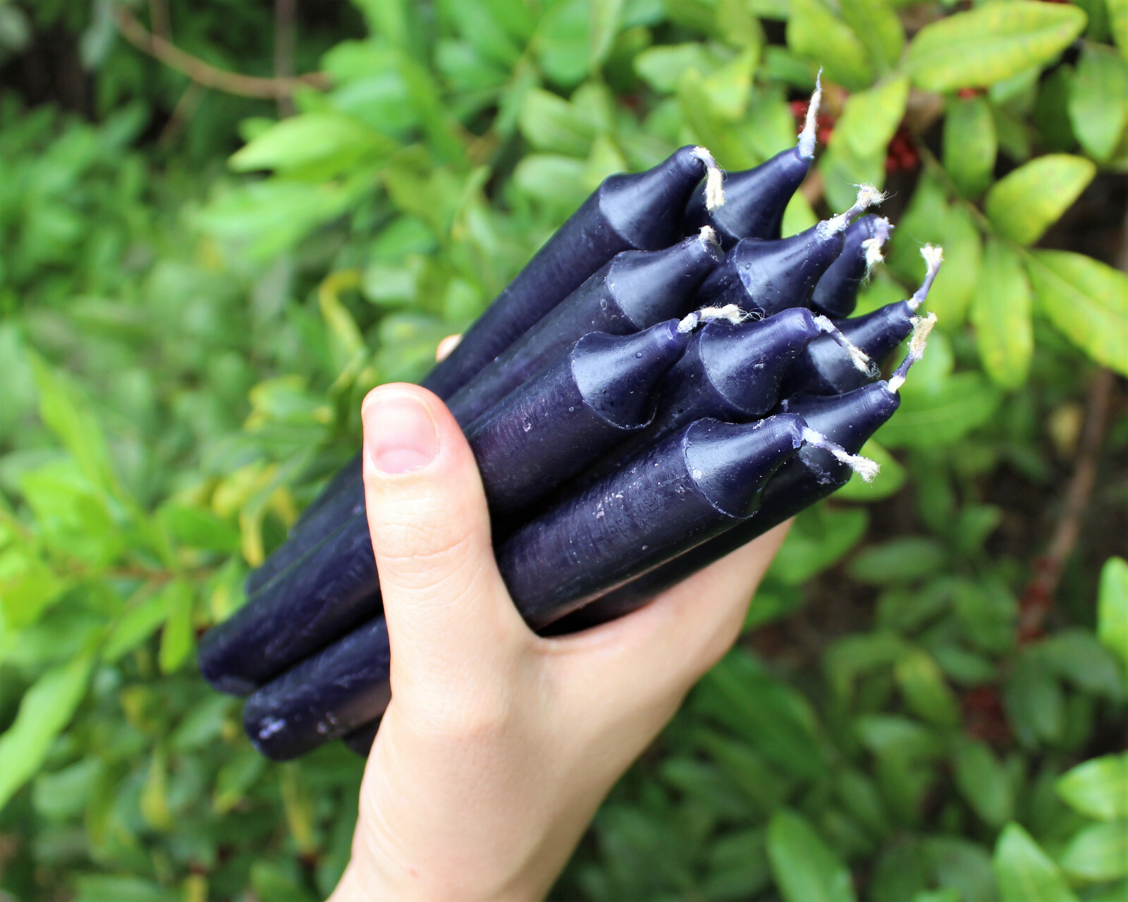 Lot of 12 x 6″ Taper Candles: BLACK (Spell Candles Altar Household)