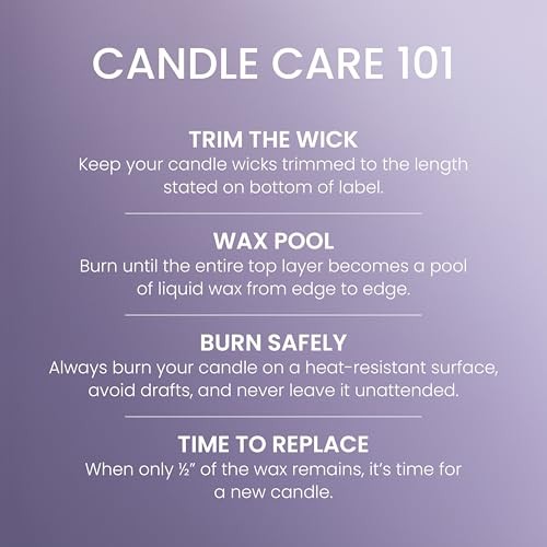 Yankee Candle Dried Lavender & Oak 14.5oz 3-Wick Scented Jar Candle 40hr Burn