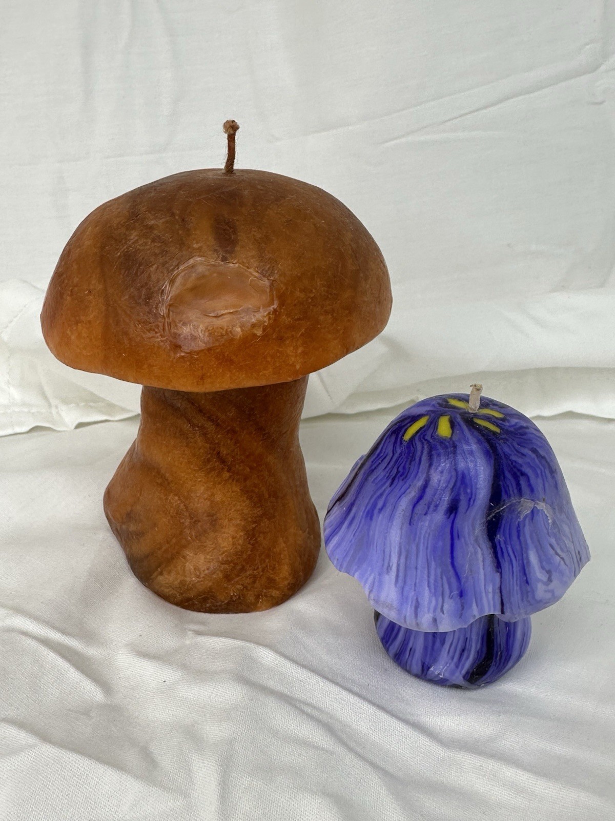 Hand-Poured Mushroom Candle Lot of 2 Brown Porcini Purple Marbled Cottagecore