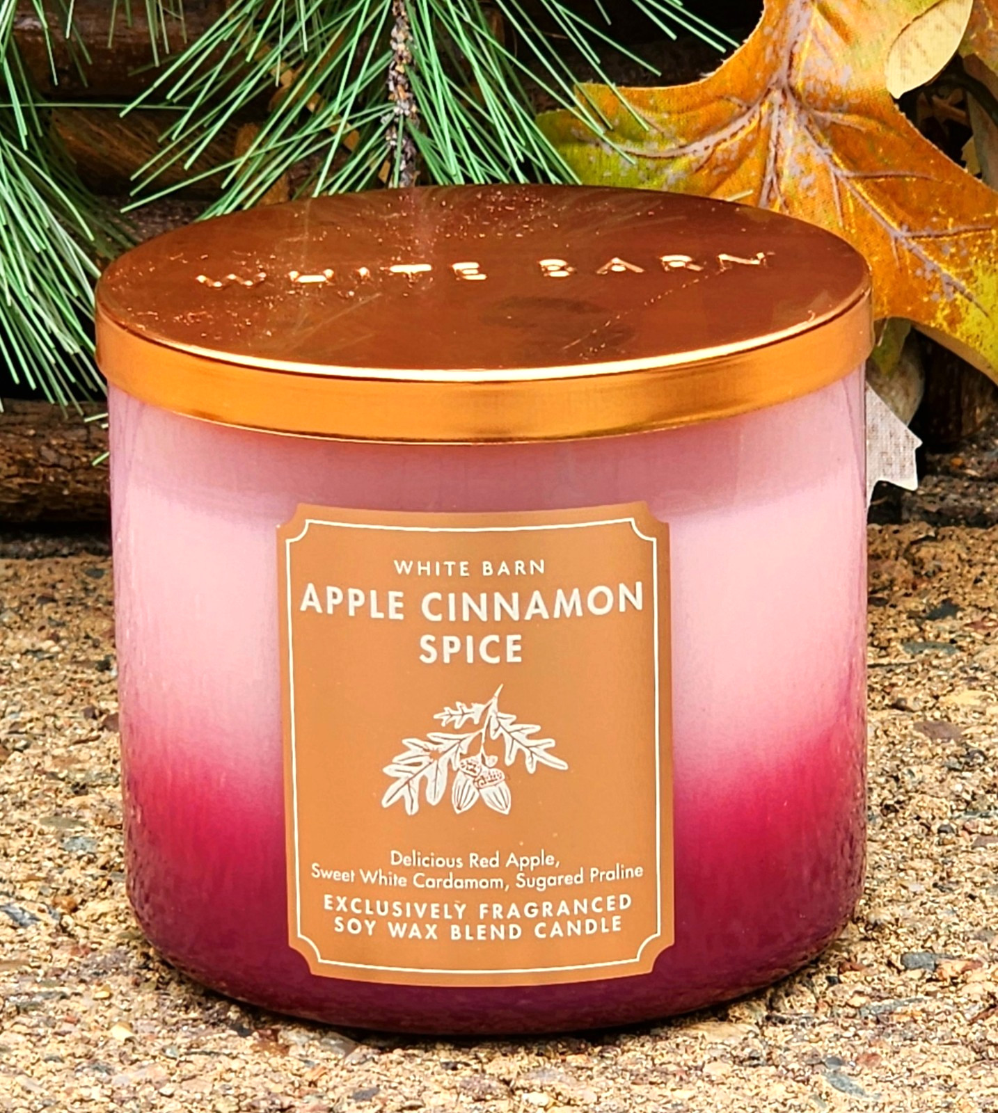 2026🍂FALL~🍁🍎🍂APPLE CINNAMON SPICE~3 WICK CANDLE~Bath & Body Works~SHIP FREE