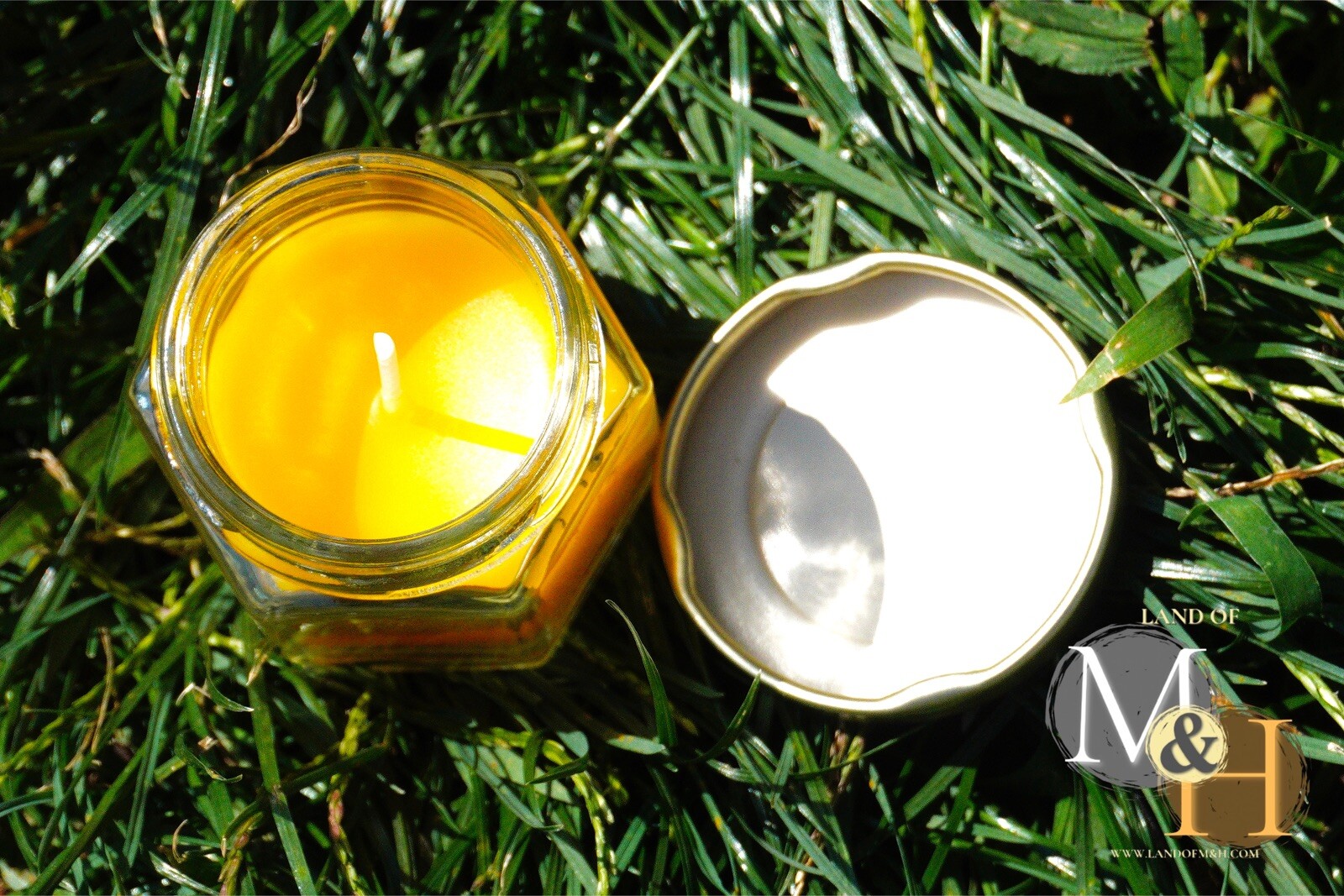 🐝 100% Beeswax (24 Pack) Candles 🕯️🕯️🕯️/ USA Honey Scent Long Burning 🐝