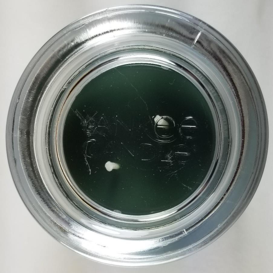 Yankee Candle BALSAM & CEDAR Signature Large Jar 20 Oz Green New Wax 2-wick
