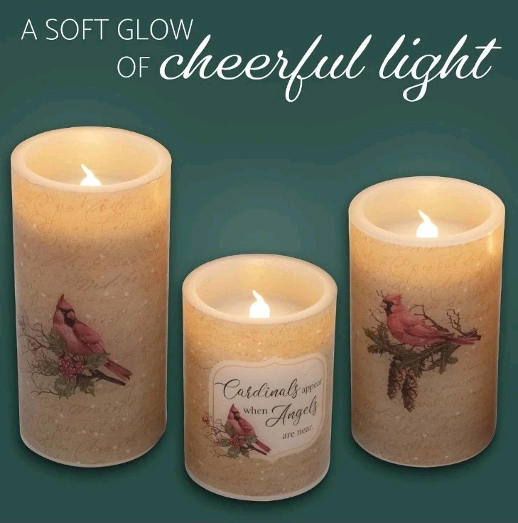 Set of 3 Candles LED Flameless Wax Pillars Cardinal Birds AAA Battery Operated