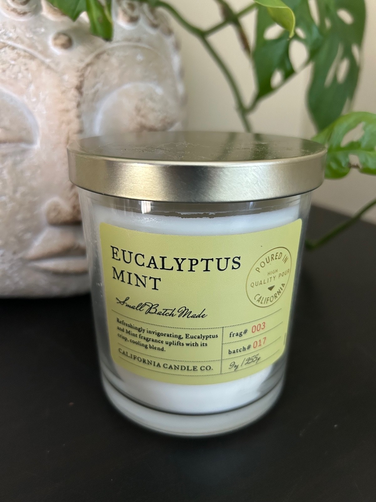 Leoben Co👀Eucalyptus Mint 👀Soy Wax Blend W/Essential Oils👀9oz👀lid included