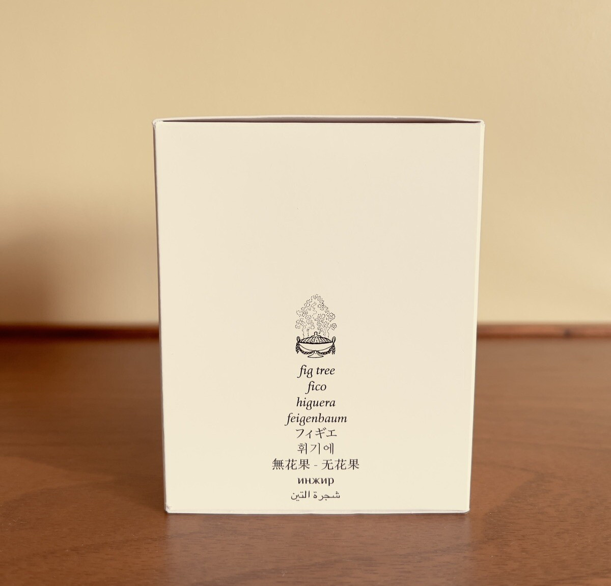 Diptyque Paris Bougie Parfumée Figuier Scented Candle 6.5 oz 190 g Open Box