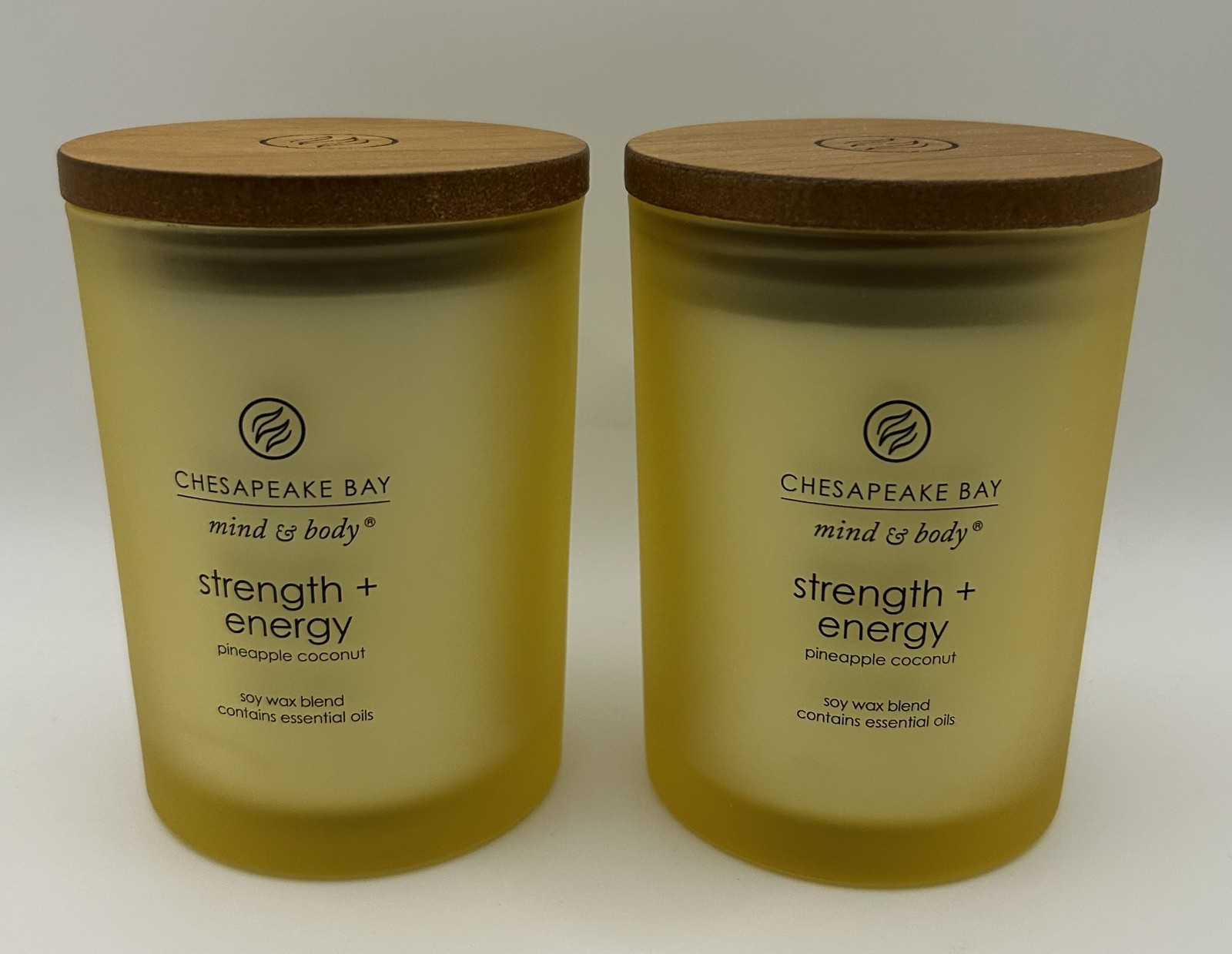 2 Pack of Chesapeake Bay Scented Candles medium Size 8.8oz Glass Jars