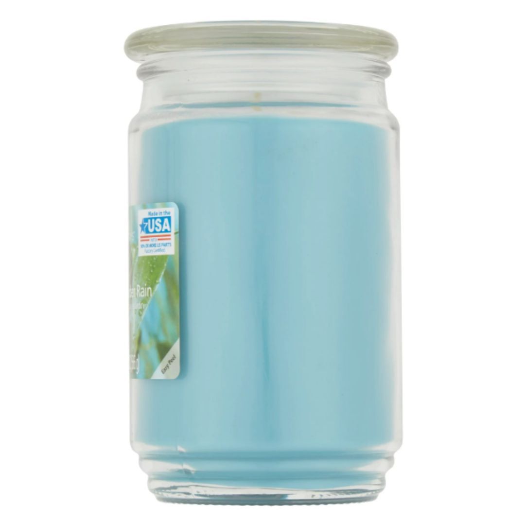 Mainstays Single Wick Jar Candle, Garden Rain, 20 oz