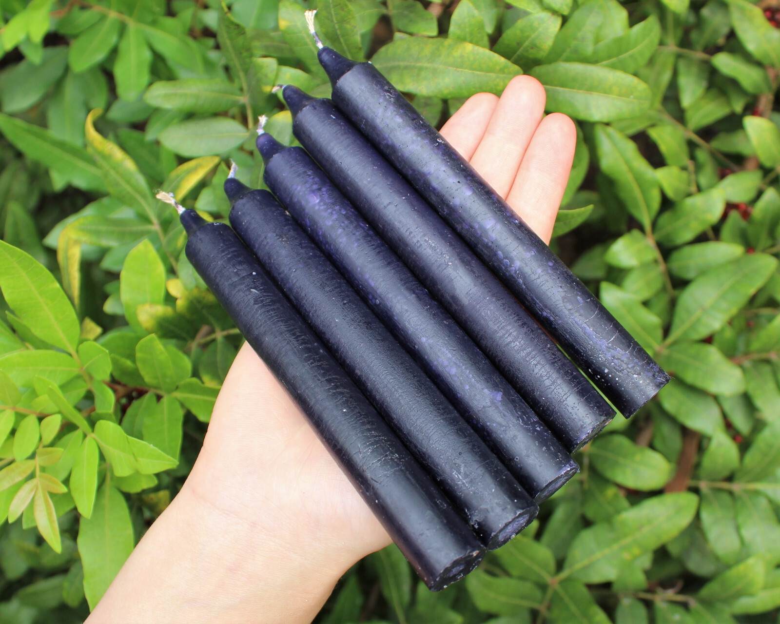 Lot of 5 x 6″ Taper Candles: BLACK (Spell Candles Altar Ritual Household)