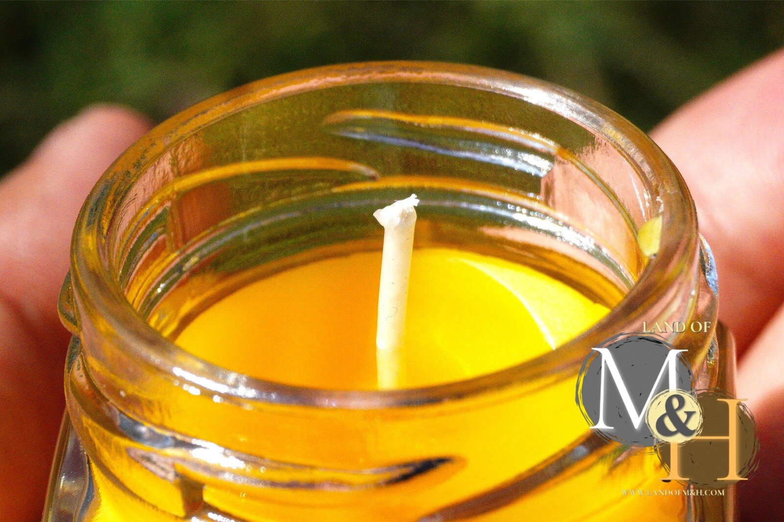 🐝 100% Beeswax (24 Pack) Candles 🕯️🕯️🕯️/ USA Honey Scent Long Burning 🐝