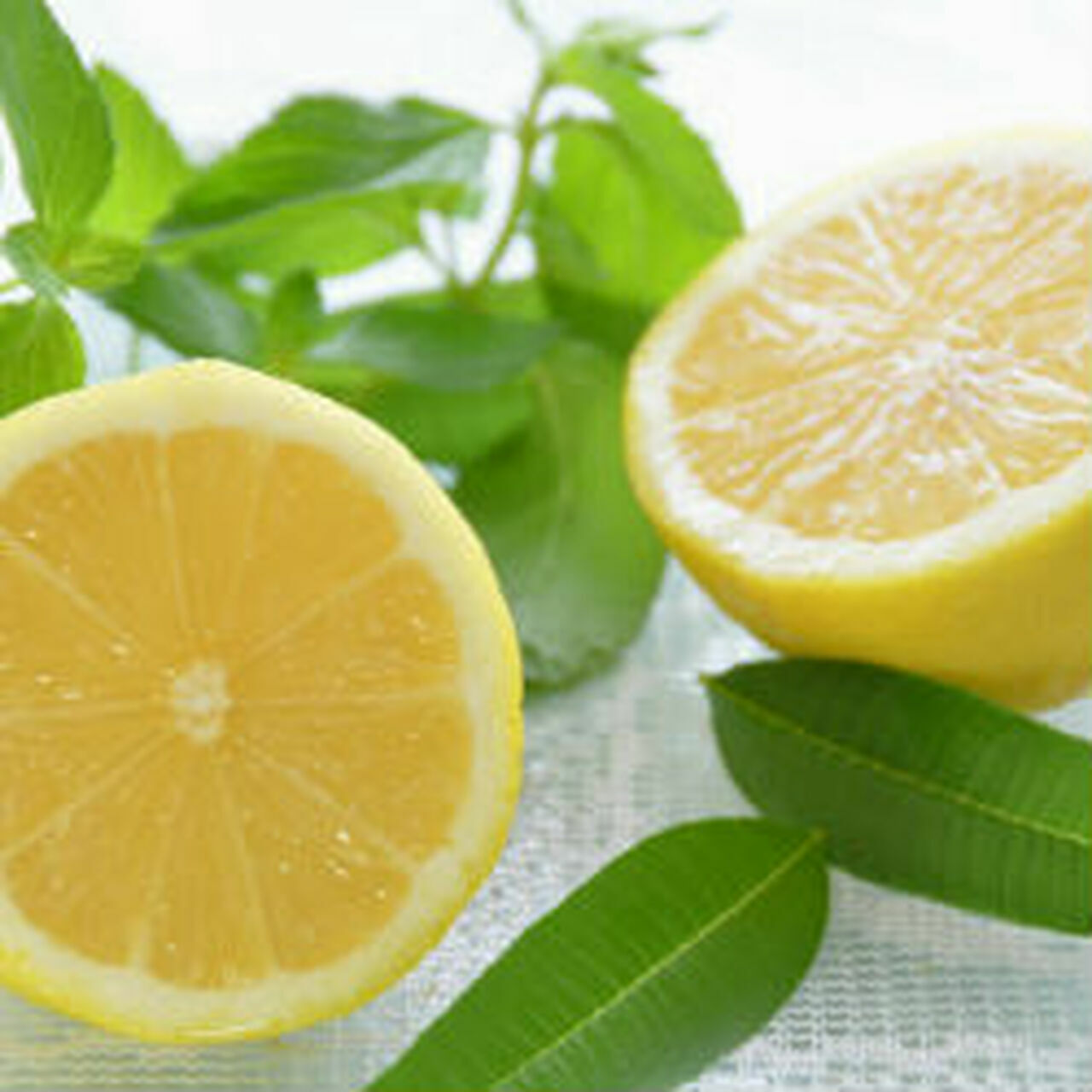 WOOD WICK * LEMON VERBENA * SCENTED CANDLE * Leah’s Lite Candle * 16 OZ