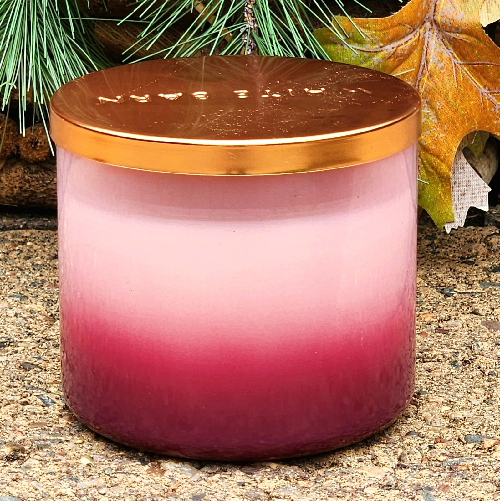 2026🍂FALL~🍁🍎🍂APPLE CINNAMON SPICE~3 WICK CANDLE~Bath & Body Works~SHIP FREE
