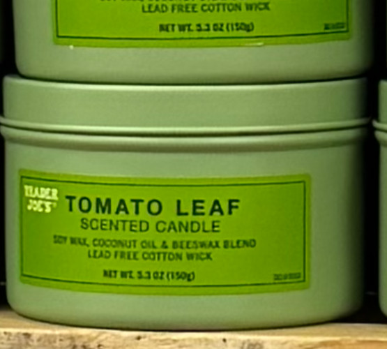 Trader Joe’s Tomato Leaf Scented Candle 5.3 oz Soy Wax Blend Spring NEW