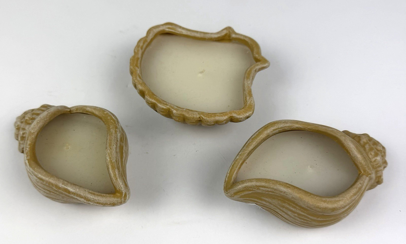 3 Sea Shell Candle Filed Holders Beach House Decor Seaside