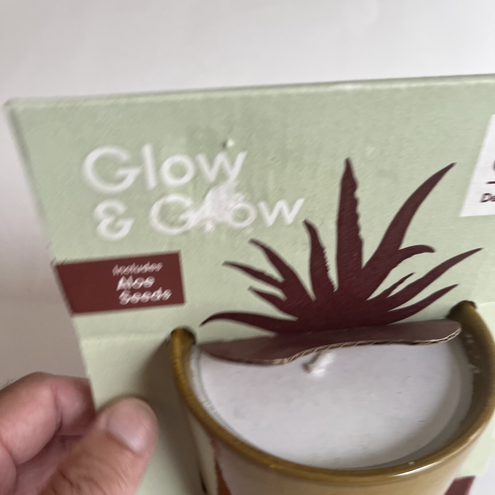 Modern Sprout Glow & Grow DESERT OASIS Candle & Grow Kit – Aloe Seed New