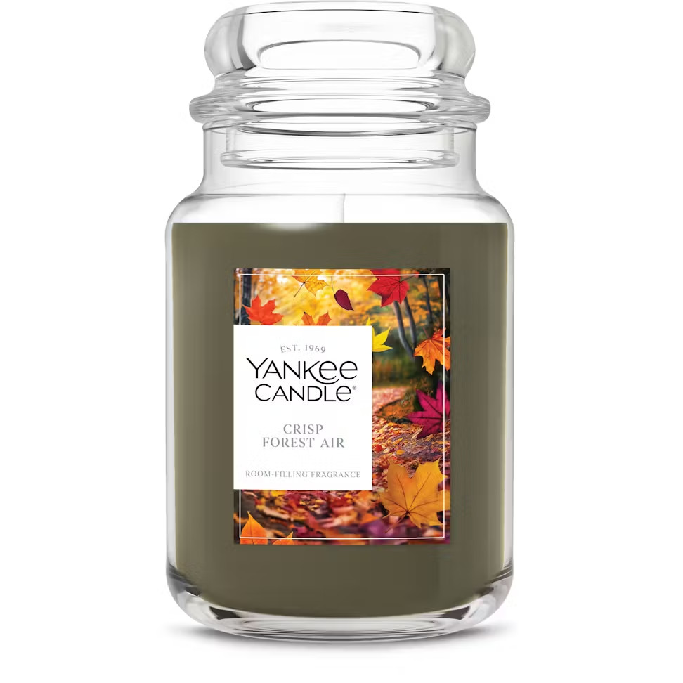 YANKEE CANDLE Crisp Forest Air 22oz Large Original Jar Candle NEW